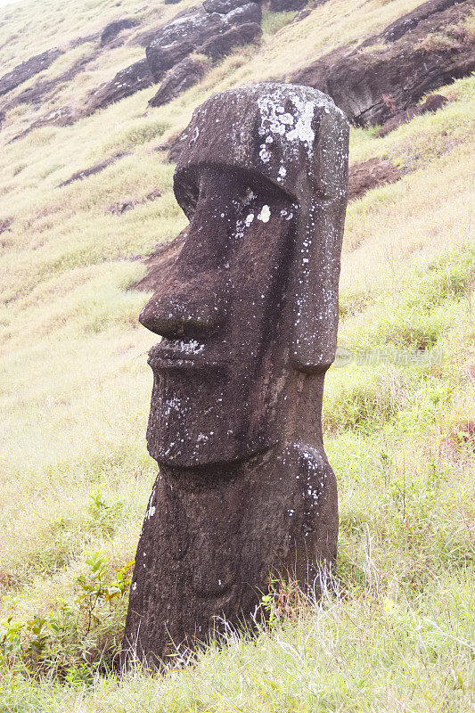 在死火山拉诺拉库山坡上的摩埃石像