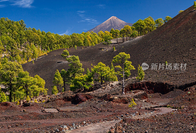 西班牙，加那利群岛，特内里费，泰德国家公园，奇耶罗火山口附近的火山景观