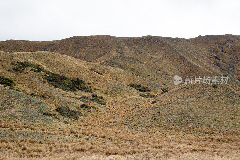 新西兰南岛林迪斯山口干燥干燥的山坡