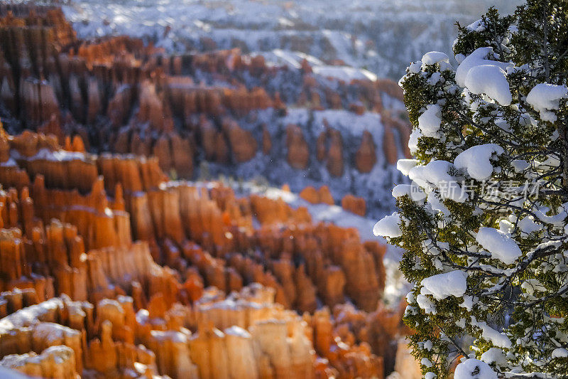 布莱斯峡谷雪景