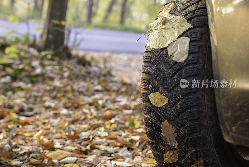 秋天森林路上冬天的轮胎特写