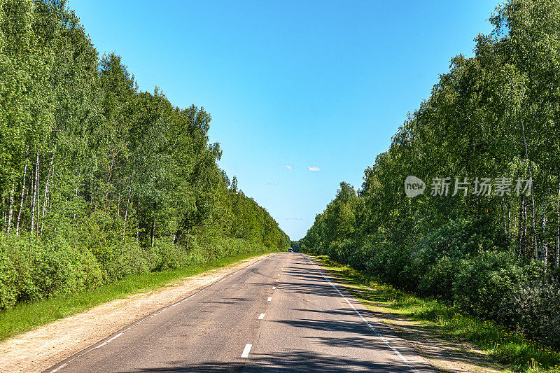 俄罗斯的道路穿过绿色的白桦林，走向俄罗斯下诺夫哥罗德