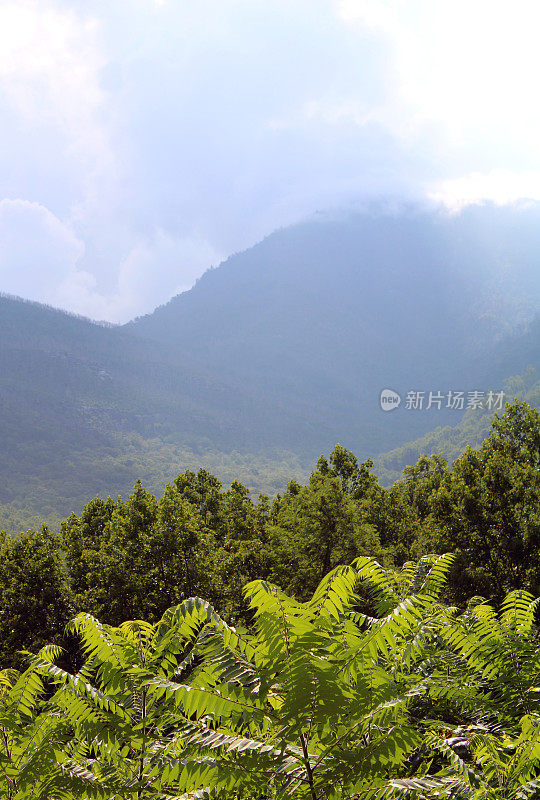 加特林堡附近的大烟山