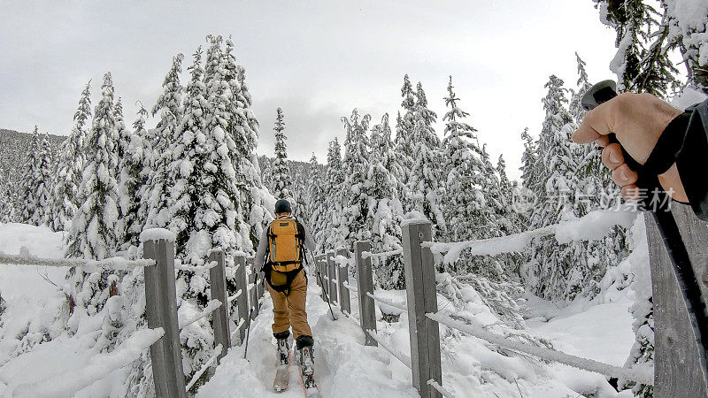 POV过去的滑雪杆，年轻人滑雪通过森林的新雪的桥梁