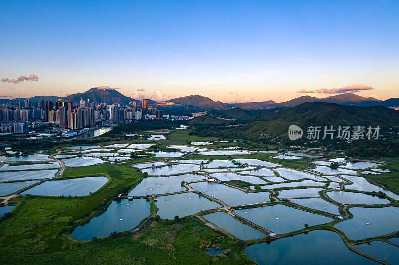 香港的养鱼场和城市景观在日出