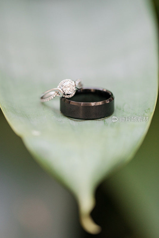 新娘的钻石结婚戒指和新郎的黑色结婚戒指在一片叶子上