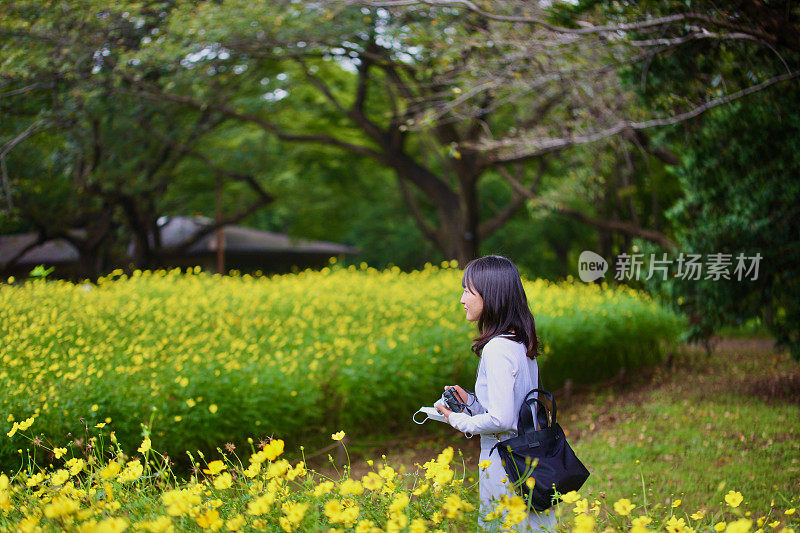 美丽的年轻女子在花田拍照