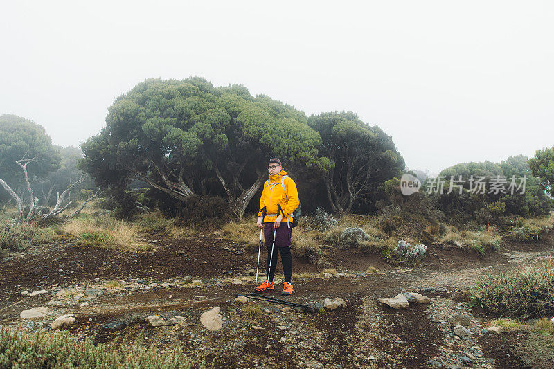 一名年轻的徒步旅行者在乞力马扎罗山国家公园旅行后放松，享受森林和山脉的美景