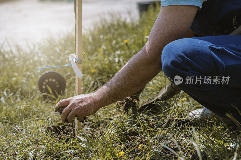 种植花园的人