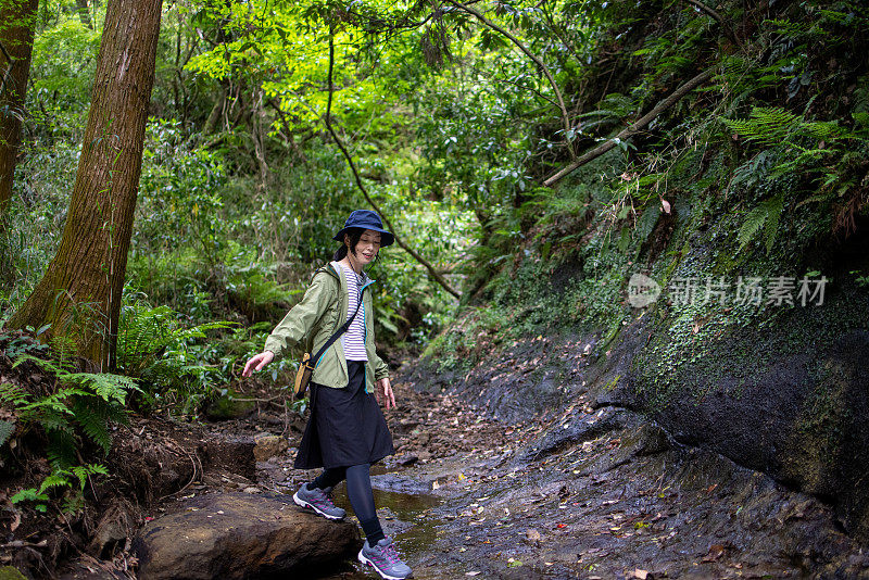 一个日本女人在森林里徒步旅行