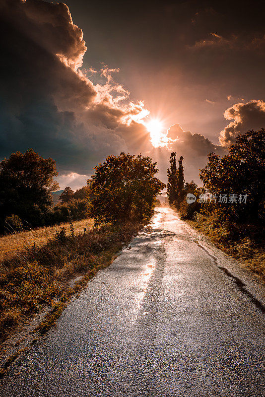 乡间小路上金色草地上的夕阳