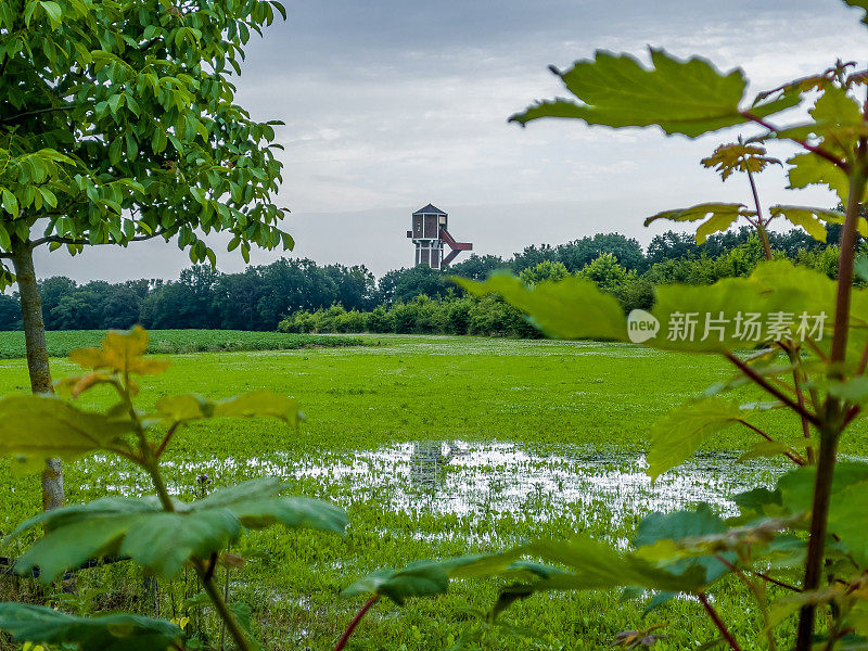 荷兰林堡水塔的景色