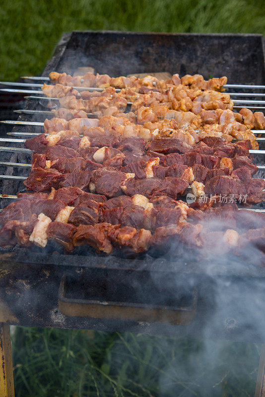 烧烤、鸡肉、牛肉和烤肉