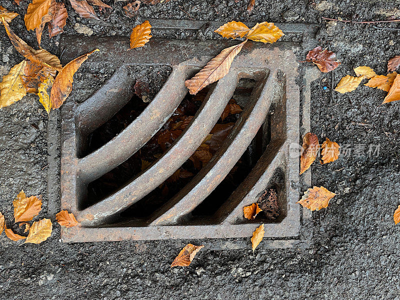 生锈的金属格栅，雨水管在柏油路面的路边与秋天的落叶，高架的图像