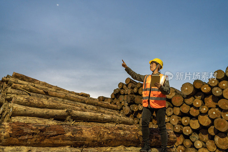 在码头的木材堆放区，女工们用平板电脑工作，指着远处的木材清点数量