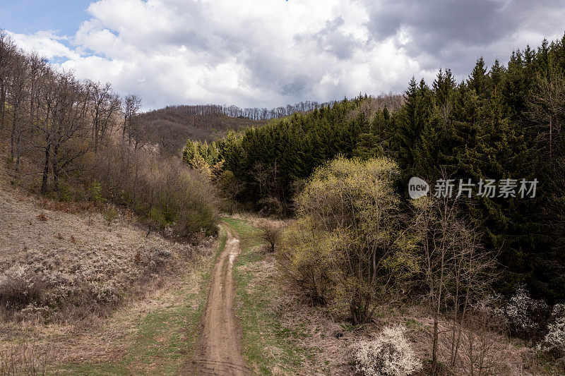 空中公路之旅-有弯曲道路的森林