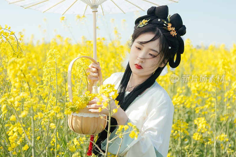 汉服美女在油菜田