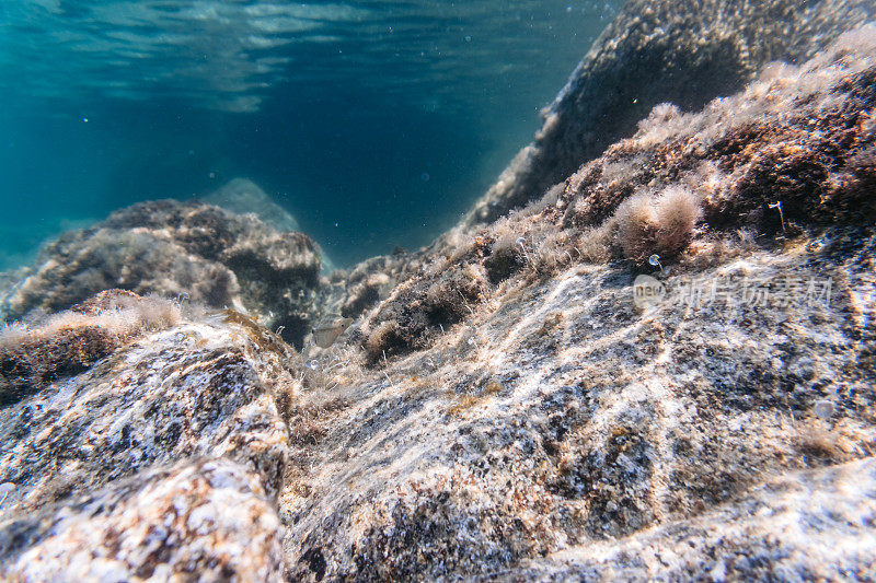 浅水海底