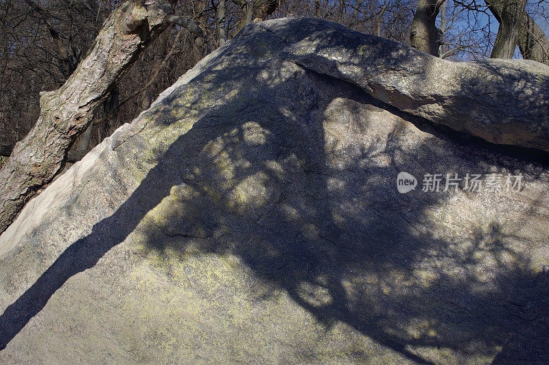 园林景观特征的山形石头与松树阴影类似极简主义日本艺术