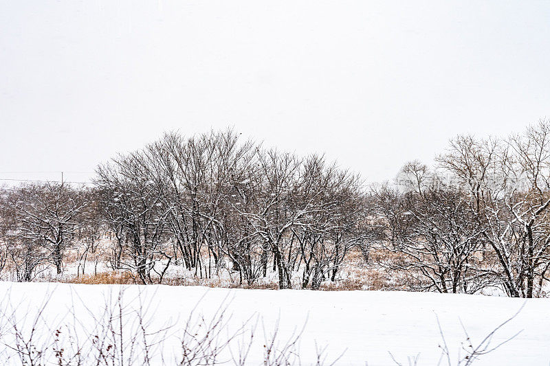 中国黑龙江宁静的雪乡风光