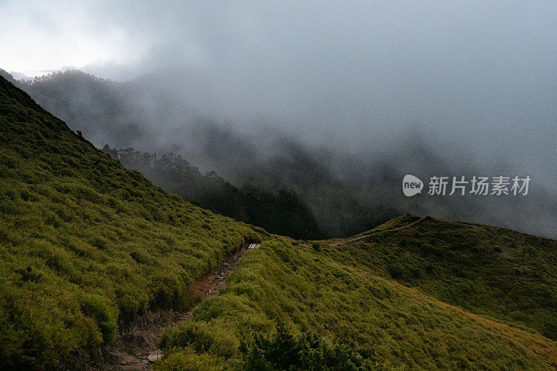 台湾高山上雾气弥漫的森林清晨景象