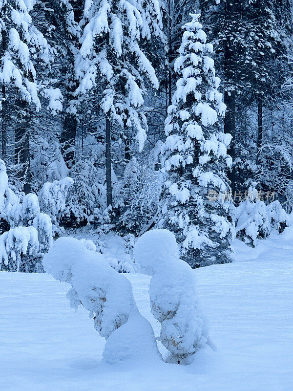 两个有趣的雪人慢慢地落在前面