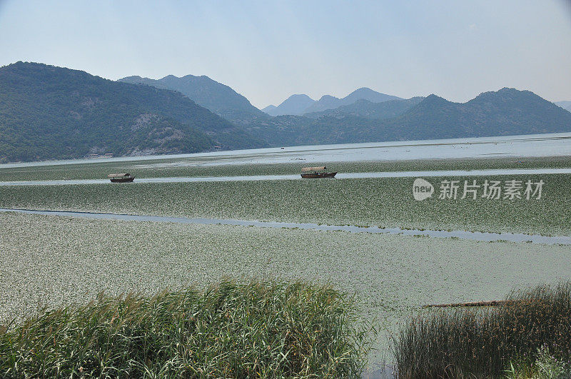 黑山的斯卡达尔湖。开阔的湖面与自然和山脉的丰富性。船在湖上巡游。