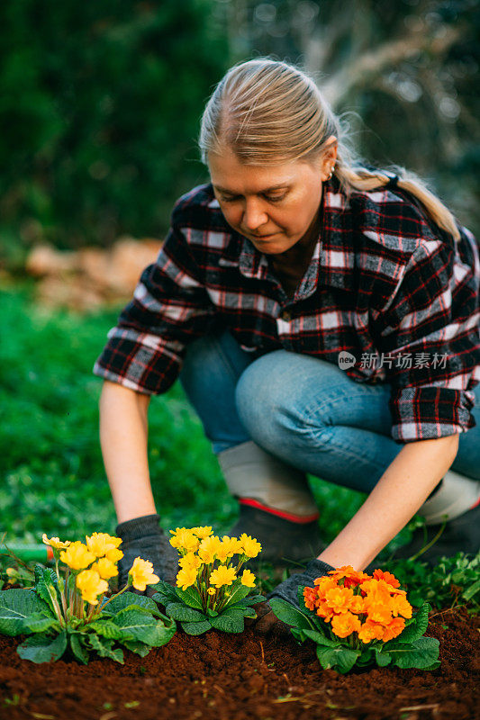 春天，年轻女子在花园里种植五彩缤纷的花朵