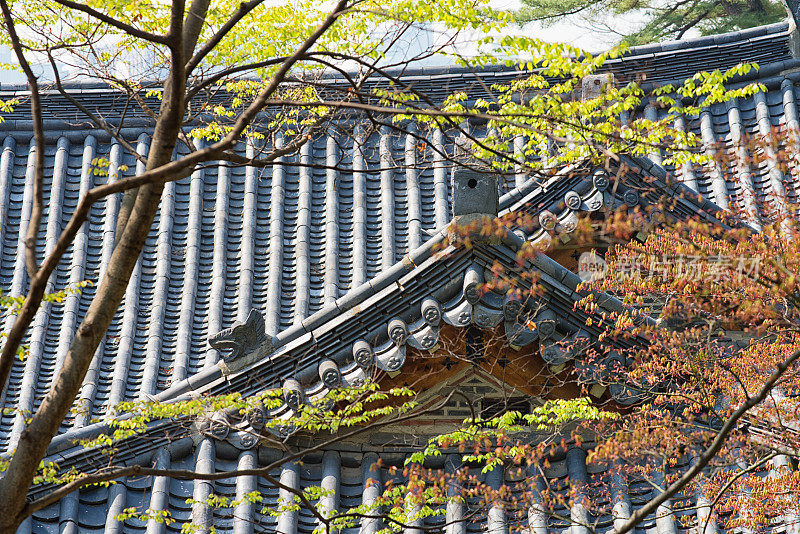 韩国韩屋