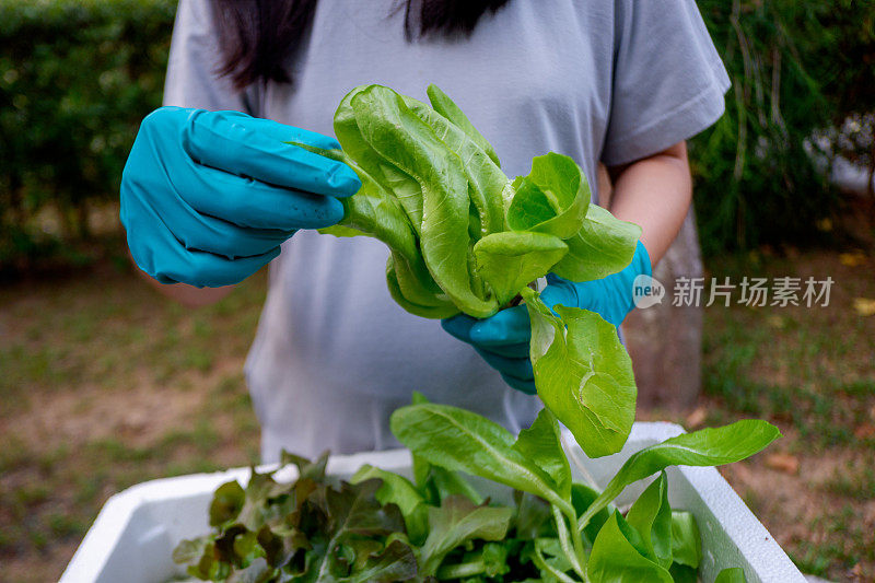 手持绿叶植物的女园丁。