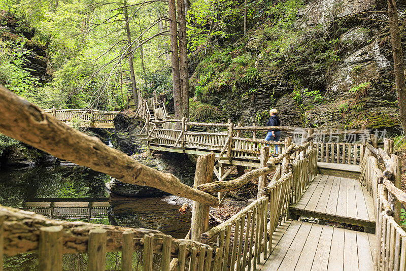 生态步道-木桥通往巴斯基尔瀑布在波科诺斯山脉，宾夕法尼亚州。注意木制栏杆