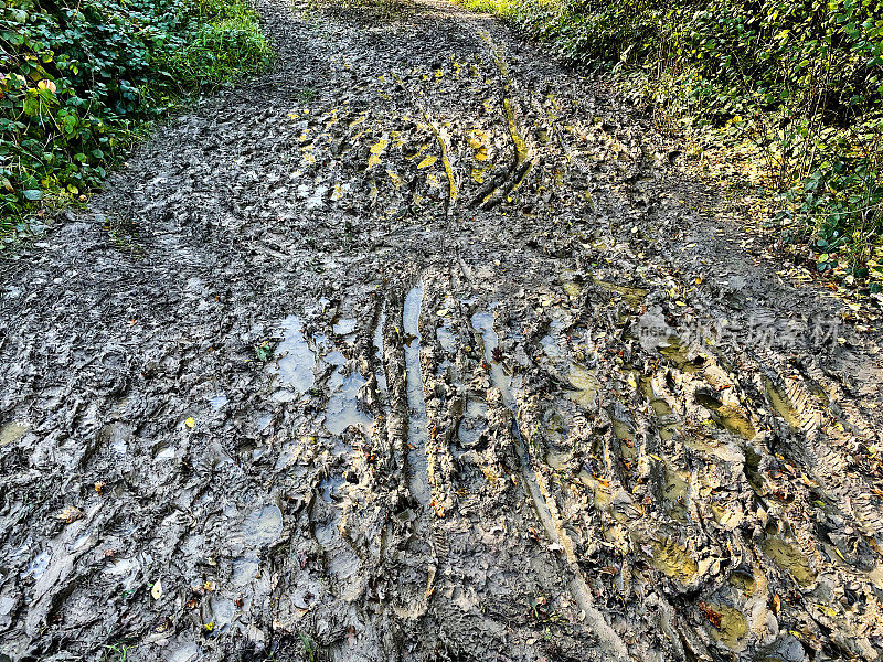 泥泞的道路