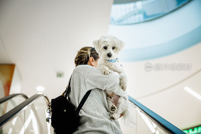一名妇女在商场的自动扶梯上抱着一只马尔济斯狗