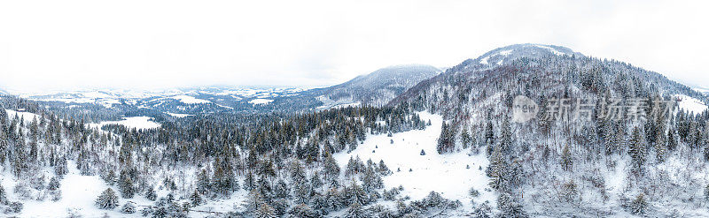 冬天的风景在雾与雪和树枝覆盖着白霜和冰冻的雪。高质量的照片