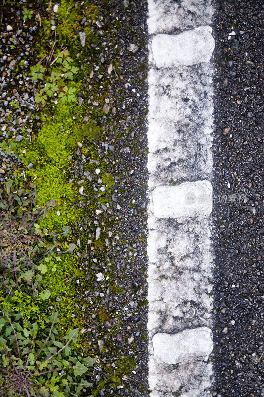 乡村公路上的白色单线特写。