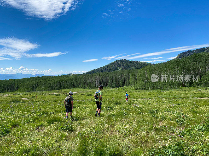 一家人在美丽的草地上远足