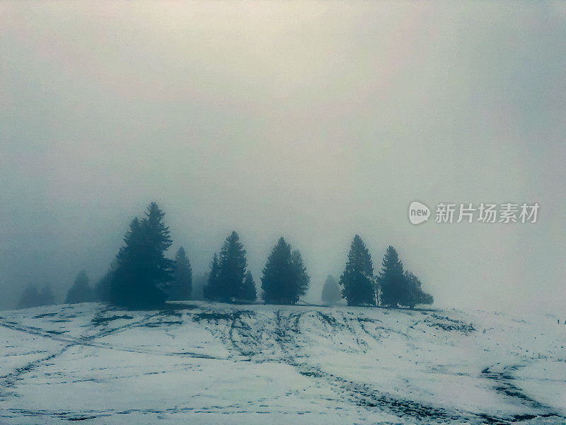 黑森林里积雪覆盖的山顶。