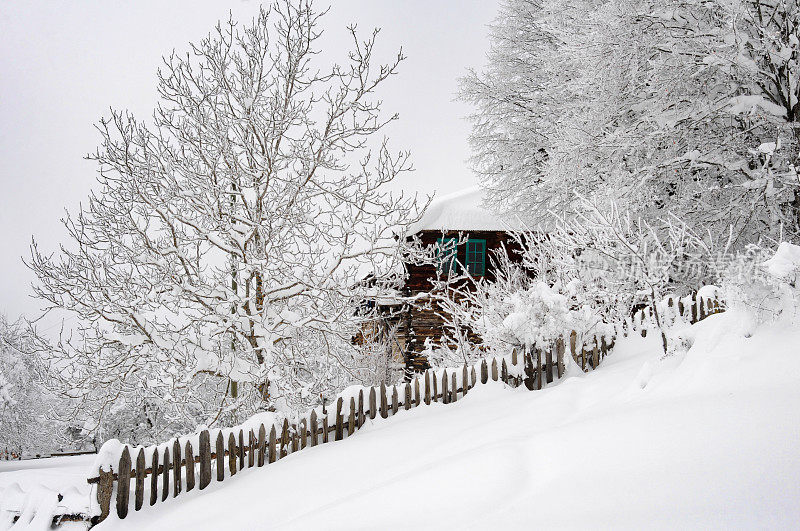 森林村下大雪