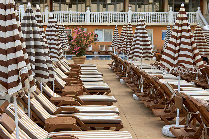 木制的日光浴床带着供日光浴者使用的遮阳伞，沿着游泳池一排排地排列着