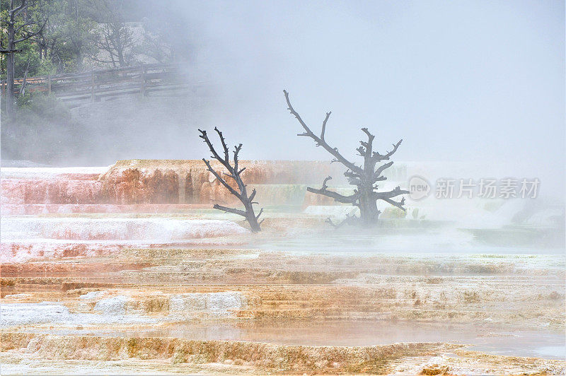 五彩缤纷的上层露台，猛犸温泉