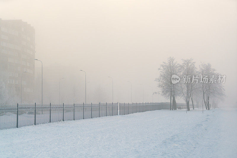 寒冷冬日的城市景观，树木和活的建筑物被雪覆盖