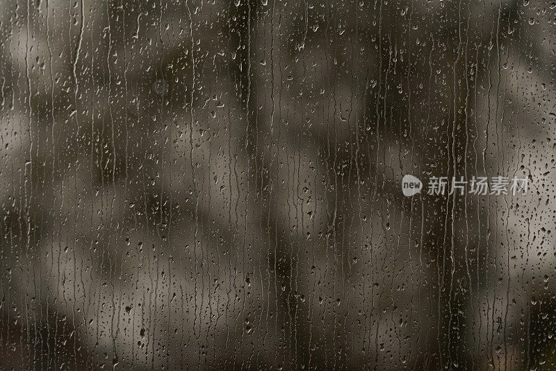 雨点打在背景树的窗户上