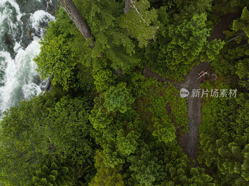 一个女人在温带雨林的一条小路上跑步的高角度视图