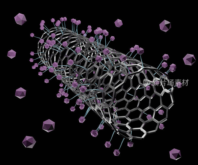 碳纳米管作为靶向载体在肿瘤药物传递系统中的应用