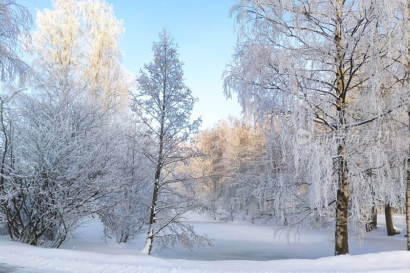 城市公园里结霜的树木和雪堆。芬兰冬季景观。