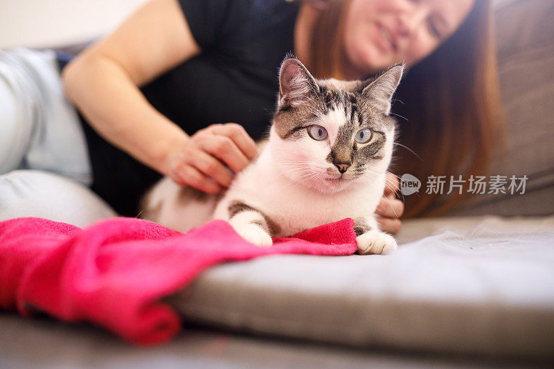 躺在沙发上拥抱猫的女人