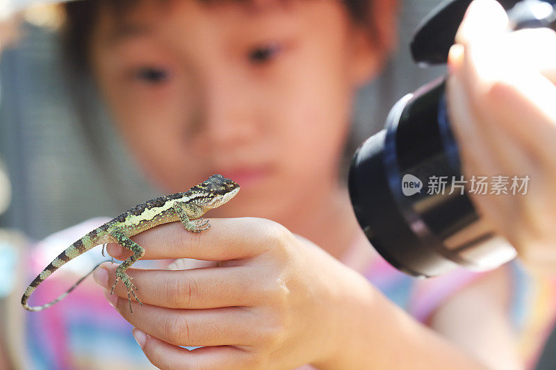 亚洲女孩与蜥蜴玩耍和拍照。