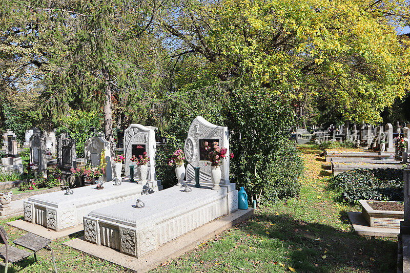 秋天公共公墓的墓碑