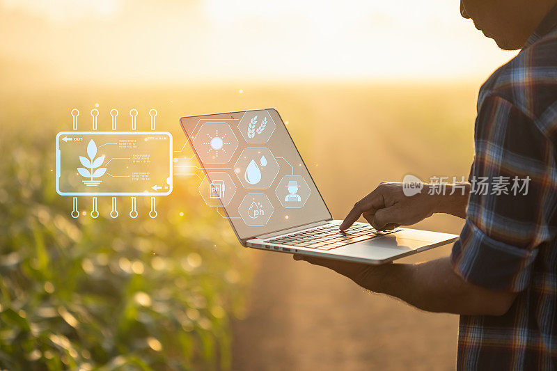 农民使用数字平板电脑在玉米作物种植领域与智能农业界面图标和光耀斑日落效果。智能农业新技术经营理念。