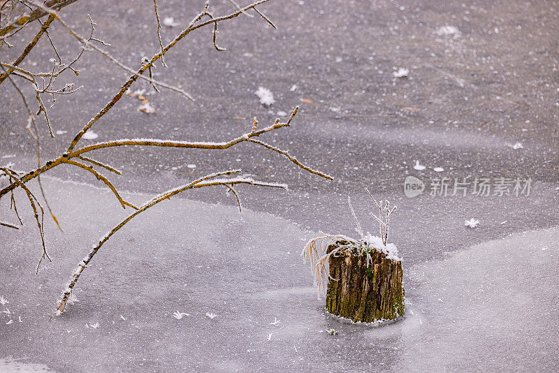 冬天，一个突出的树桩从结冰的湖面上伸出来